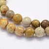 Natural Fossil Coral Beads Strands G-G697-F01-8mm-3