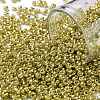 12/0 Glass Seed Beads SEED-A017-2mm-1113-1