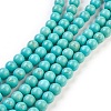 Synthetic Turquoise Beads Strands TURQ-G106-6mm-02D-1