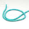 Natural Magnesite Beads Strands TURQ-G103-6mm-01-5