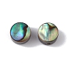 Natural Abalone Shell/Paua Shell Beads SSHEL-M021-02-2