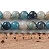 Natural Trolleite Beads Strands G-NH0002-B01-03-5