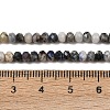 Natural Blue Spot Jasper Beads Strands G-D347-B06-5