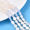 Natural Blue Lace Agate Nuggets & Natural Cultured Freshwater Pearl Beads Strands PEAR-N023-01A-04-1