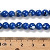 Assembled Synthetic Stone and Trochus Shell Beads Strands G-B128-08B-05-4