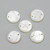 Freshwater Shell Links connectors SHEL-Q009-P-2
