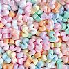 Opaque Resin Decoden Cabochons CRES-M033-01S-1
