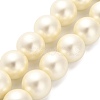 Shell Pearl Beads Strands BSHE-XCP0001-32-1