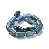 Natural Apatite Beads Strands G-N327-06-27-3