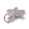 Brass Micro Pave Cubic Zirconia Charms ZIRC-F132-13P-3