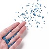 12/0 FGB Grade A Round Glass Seed Beads SEED-N001-A-1017-4