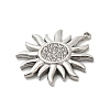 304 Stainless Steel Rhinestone Pendants STAS-A122-03P-2