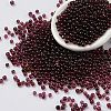 Natural Garnet Beads G-Z016-03B-1