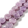 Natural Phosphosiderite Beads Strands G-D475-01M-1