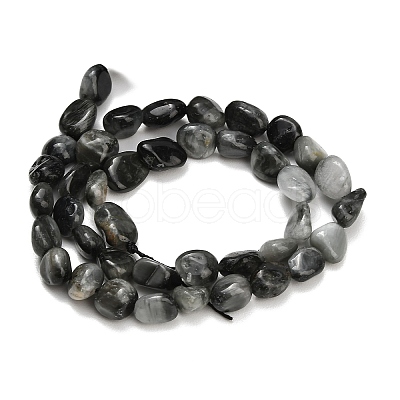 Natural Eagle Eye Stone Beads Strands G-D108-A02-03-1