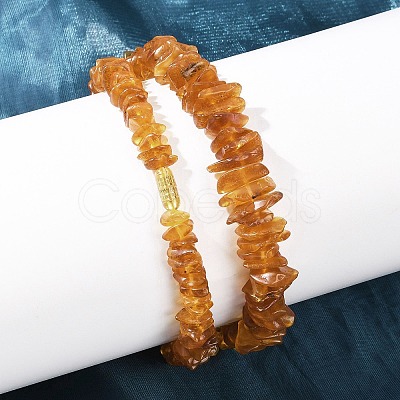 Natural Amber Chip Beaded Necklaces NJEW-L466-03A-1