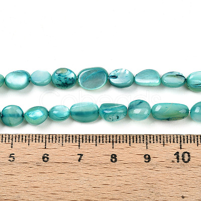 Natural White Shell Beads Strands SHEL-N036-21C-1