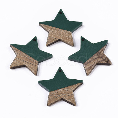 Resin & Wood Pendants RESI-T023-23E-1