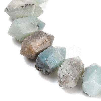 Natural Flower Amazonite Double Terminated Point Beads Strands G-T142-93-1