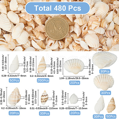 Natural Shell Beads SHEL-SP0001-03-1