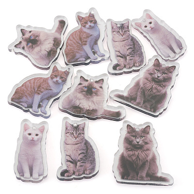 10Pcs 5 Styles Printed Acrylic Pendants OACR-TA0004-13-1