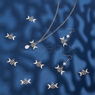200Pcs Tibetan Style Alloy Charms TIBEP-PH0001-89-1
