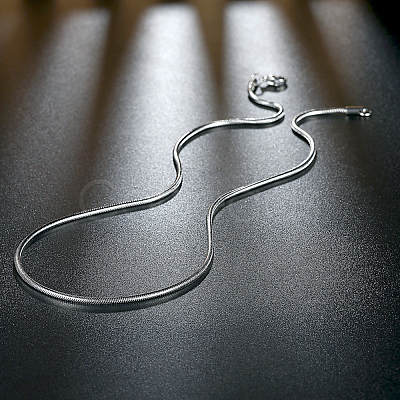 Non-Tarnish 316 Surgical Stainless Steel Snake Chain Necklaces NJEW-BB31289-24-1