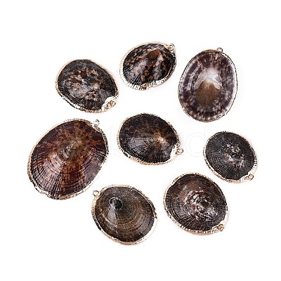 Electroplated Golden Brass Edged Natural Sea Shell Pendants SSHEL-Q101-01-1