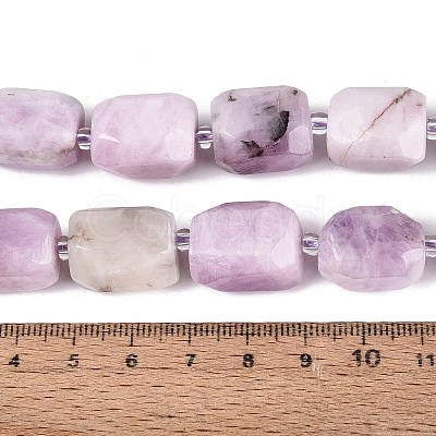Natural Kunzite Beads Strands G-N362-07A-08-1