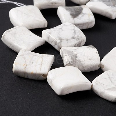 Natural Howlite Beads Strands G-L239-14-1