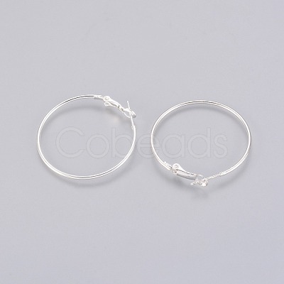 Brass Hoop Earrings X-EC108-2NFS-1