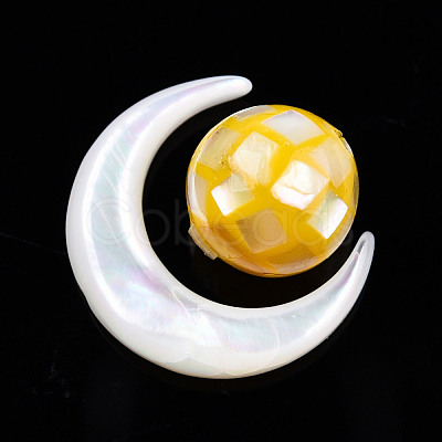 Natural White Shell Beads SSHEL-N032-51-B02-1