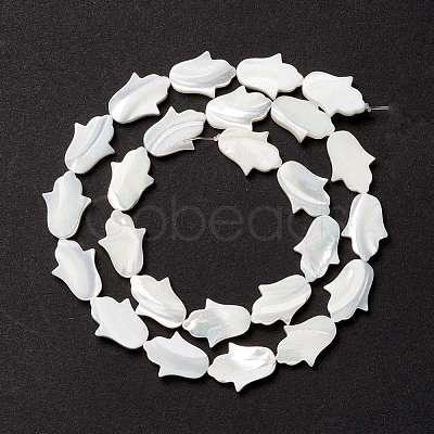 Natural Trochid Shell/Trochus Shell Beads SSHEL-O001-23B-1