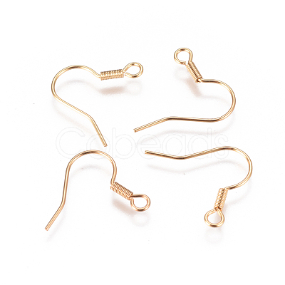 304 Stainless Steel Earring Hooks STAS-F227-28-G-1