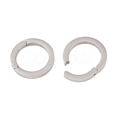 304 Stainless Steel Spring Gate Rings SA-CBA02E8-15C-P-1