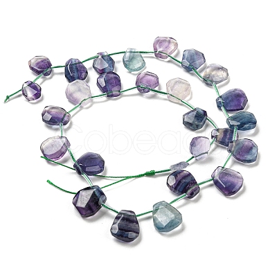 Natural Fluorite Beads Strands G-Z040-A01-01-1