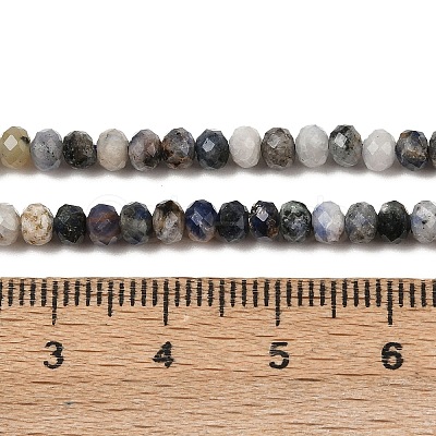 Natural Blue Spot Jasper Beads Strands G-D347-B06-1