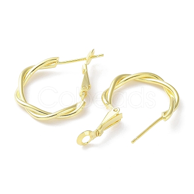 925 Sterling Silver Hoop Earrings EJEW-K258-09G-1