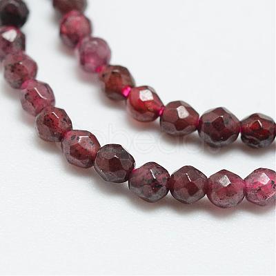 Natural Garnet Bead Strands G-R344-2mm-26-1