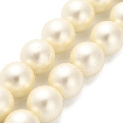 Shell Pearl Beads Strands BSHE-XCP0001-32-1