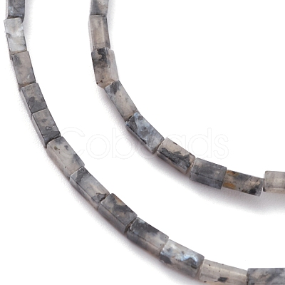 Natural Black Larvikite Bead Strands G-C301-06-1