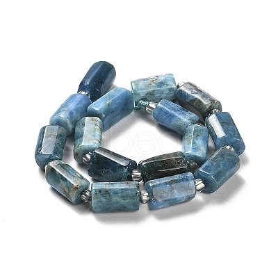 Natural Apatite Beads Strands G-N327-06-27-1