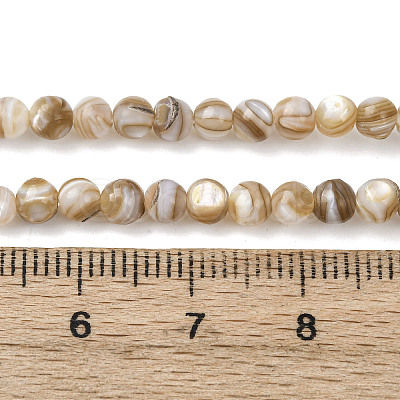 Natural Freshwater Shell Beads Strands SHEL-K006-71C-1