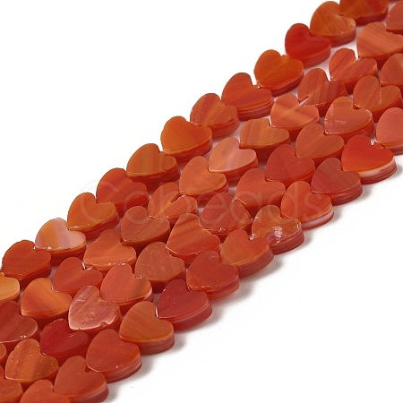 Handmade Lampwork Beads Strands LAMP-Q035-01J-1