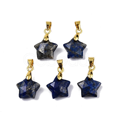 Natural Lapis Lazuli Charms X-G-N326-142-02-1