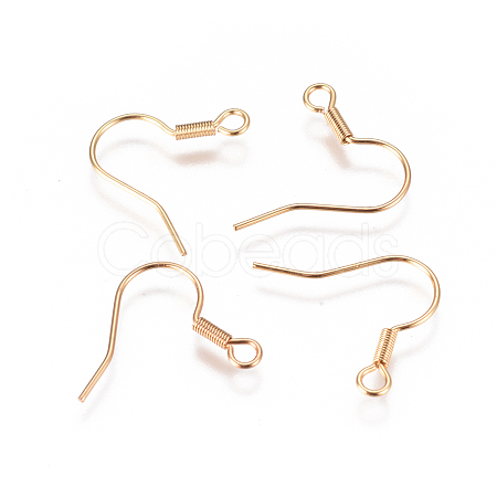 304 Stainless Steel Earring Hooks STAS-F227-28-G-1