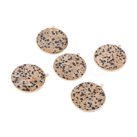 Natural Dalmatian Jasper Pendants G-E526-10F-1