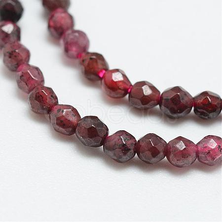 Natural Garnet Bead Strands G-R344-2mm-26-1