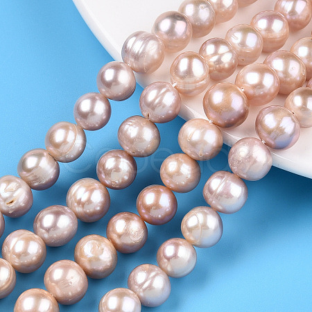 Natural Cultured Freshwater Pearl Beads Strands PEAR-N013-09B-1