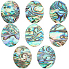 BENECREAT Natural Paua Shell Cabochons SHEL-BC0001-029A-1